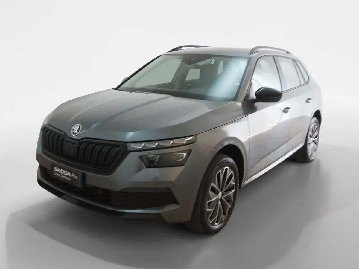 Skoda Kamiq usata a Torino (3)