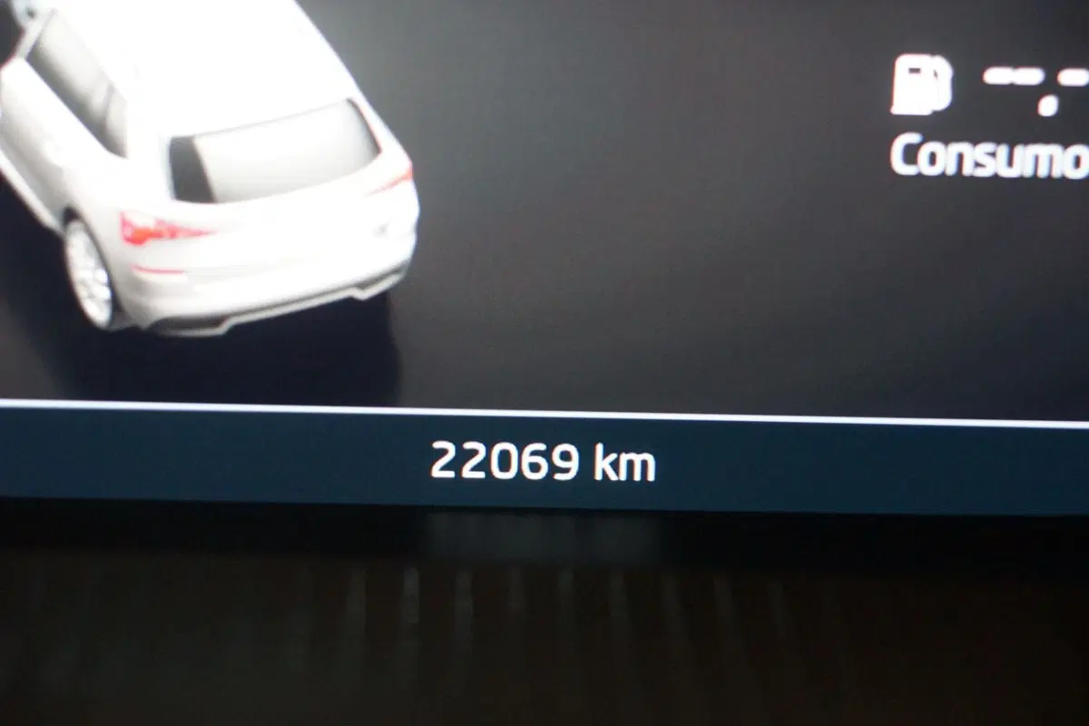 Skoda Kamiq usata a Torino (12)