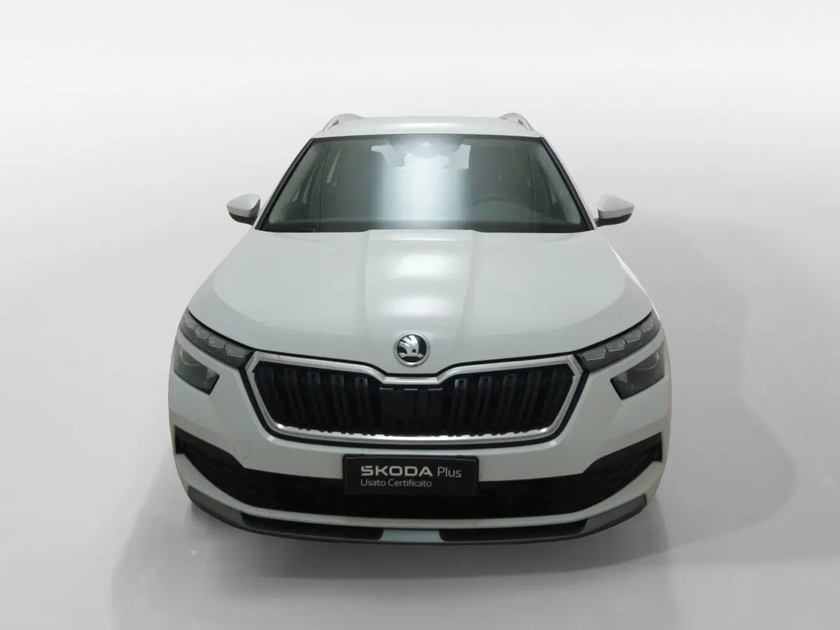 Skoda Kamiq usata a Torino (2)