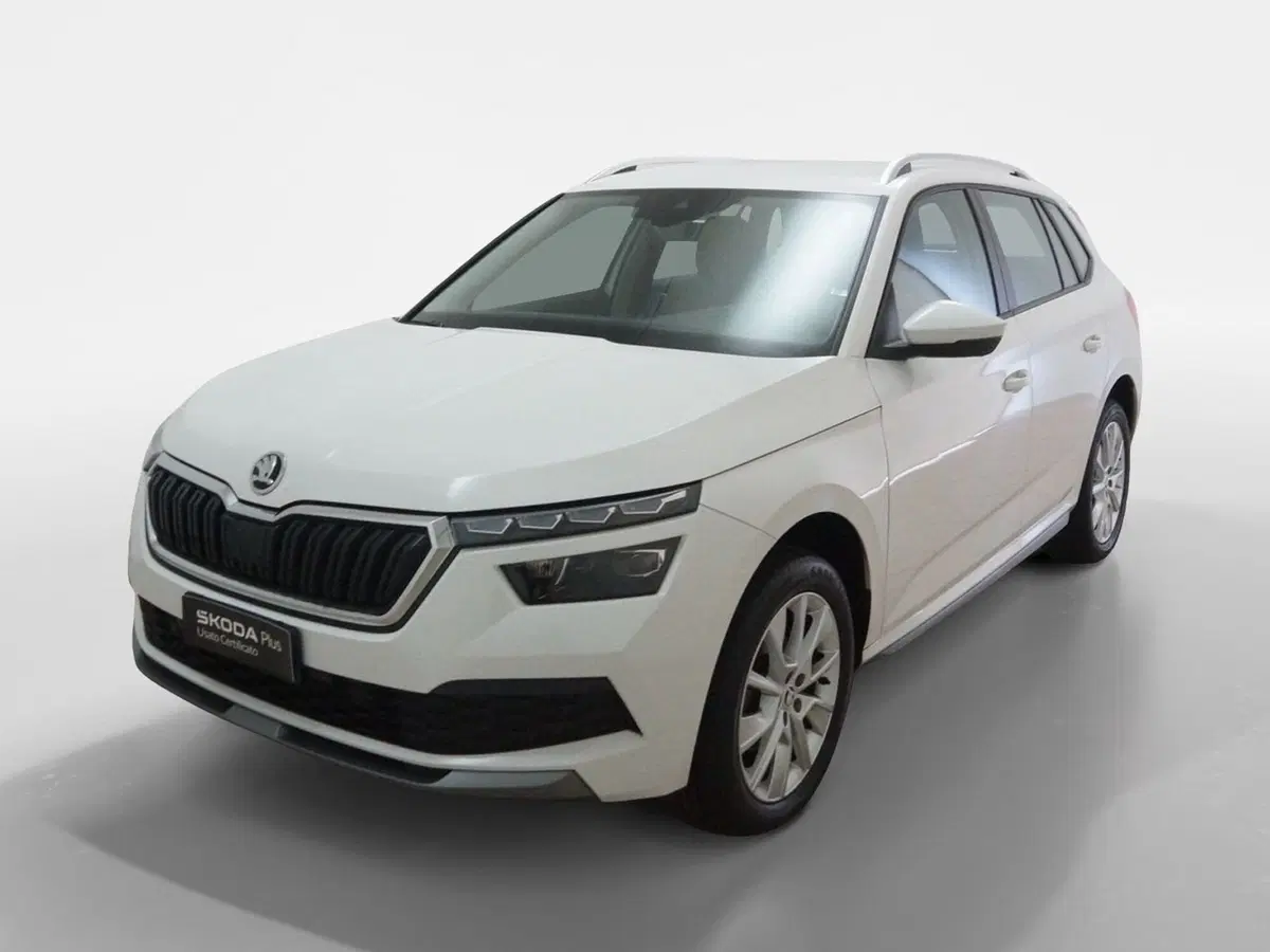 Skoda Kamiq usata a Torino (3)