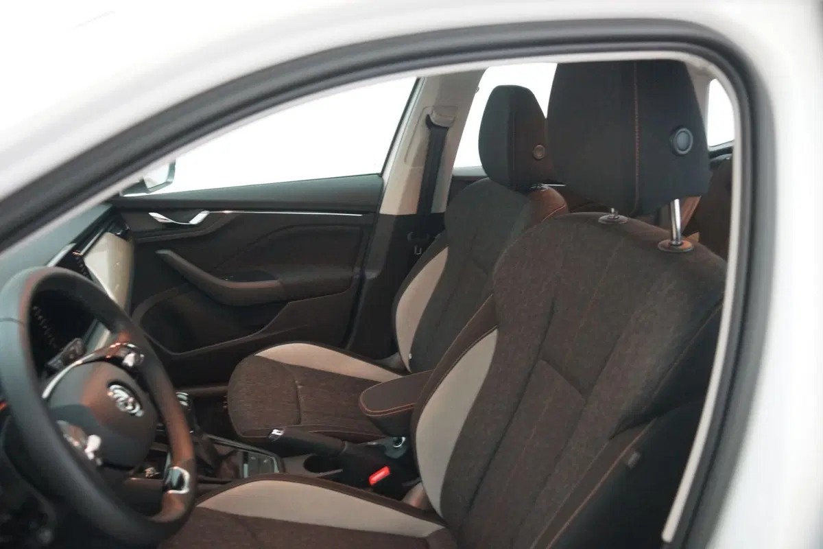 Skoda Kamiq usata a Torino (9)