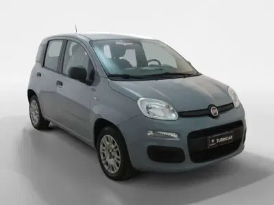 Fiat Panda 1.2 Easy del 2020 usata a Torino