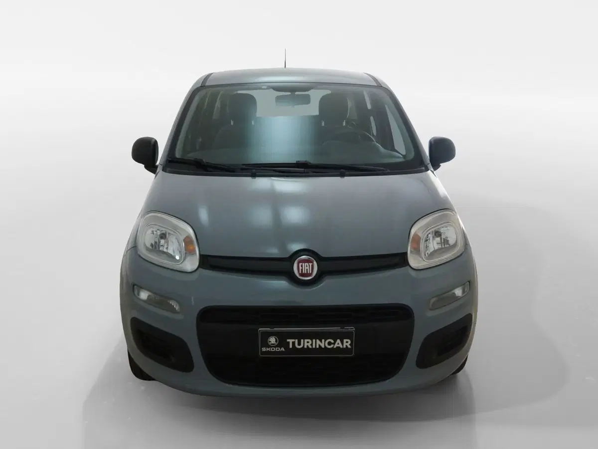 Fiat Panda usata a Torino (2)
