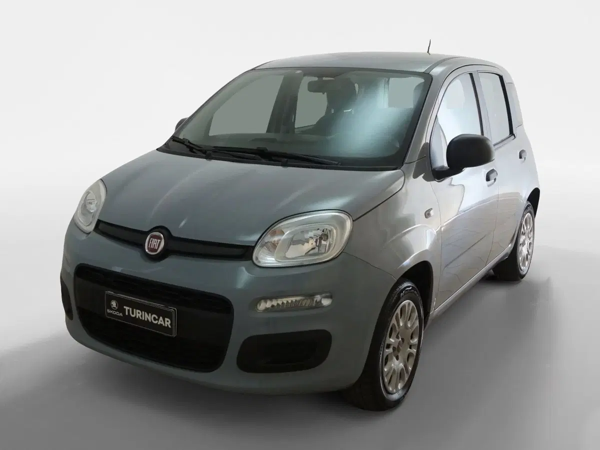Fiat Panda usata a Torino (3)