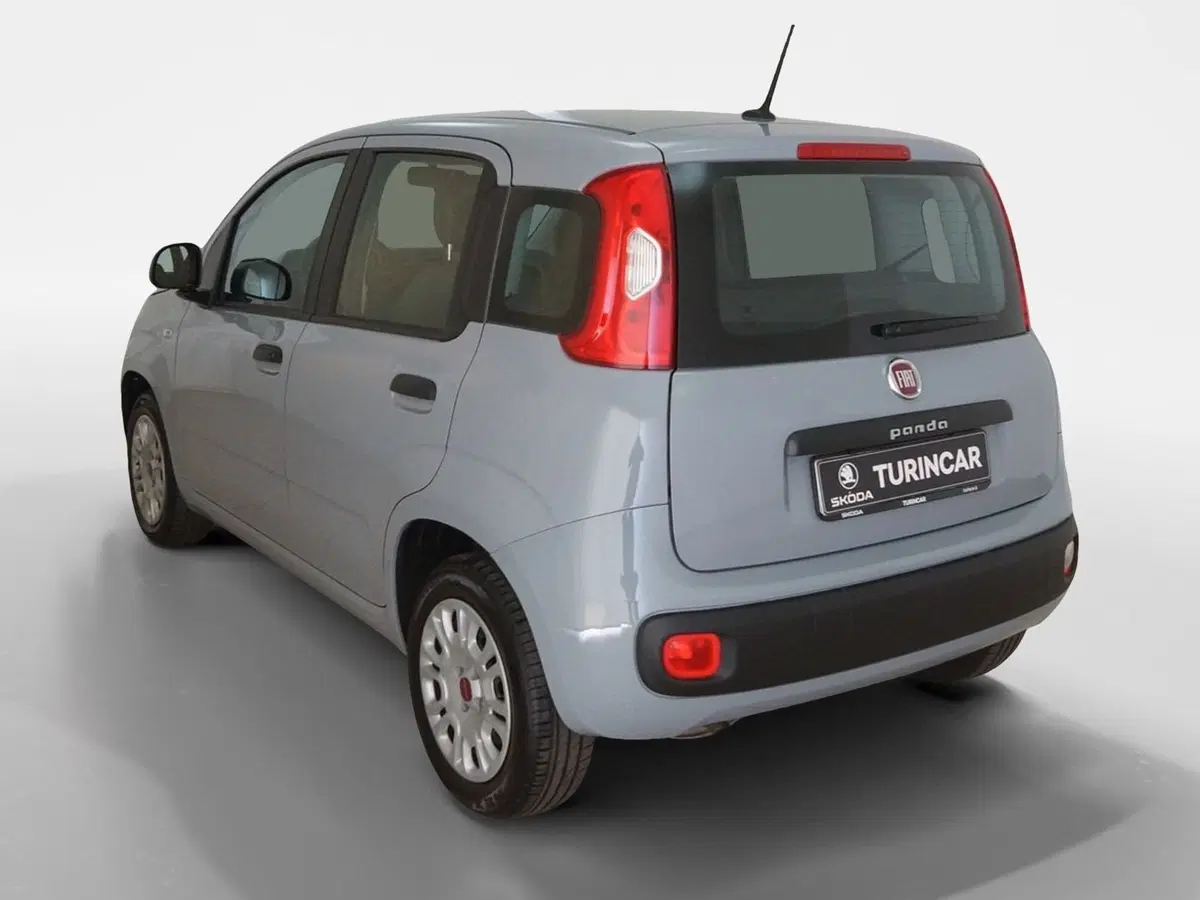 Fiat Panda usata a Torino (4)