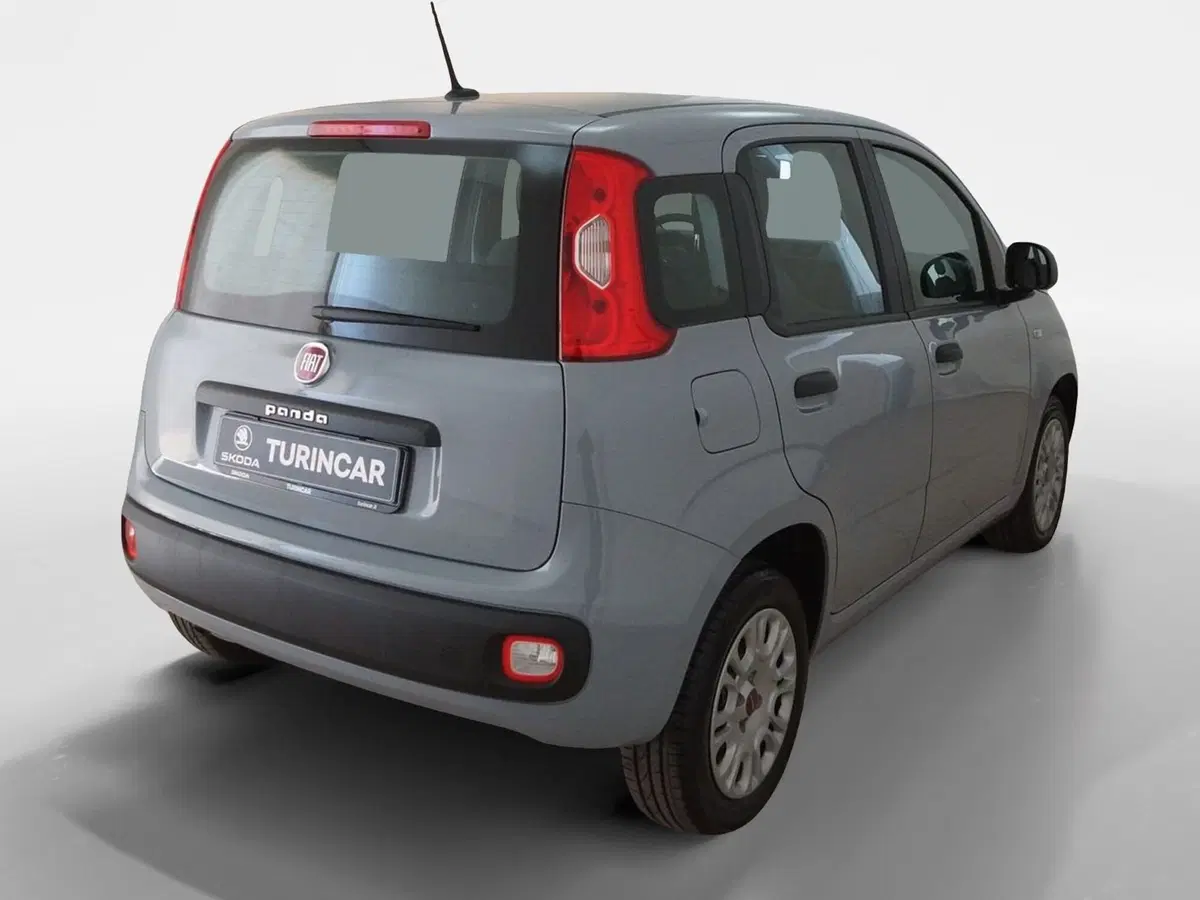 Fiat Panda usata a Torino (6)