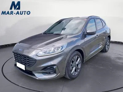 Ford Kuga 1.5 EcoBlue 120 CV 2WD ST-Line del 2024 usata a Castelfranco Veneto