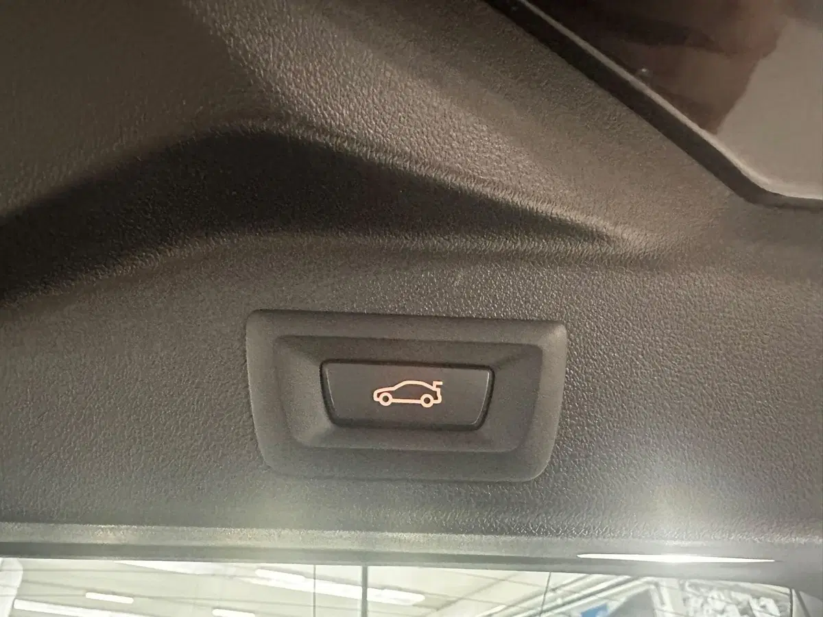 BMW X5 usata a Cuneo (20)