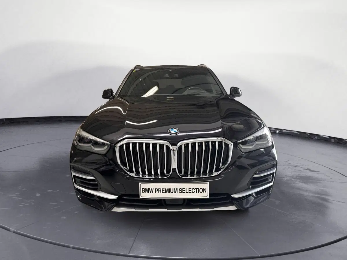 BMW X5 usata a Cuneo (3)