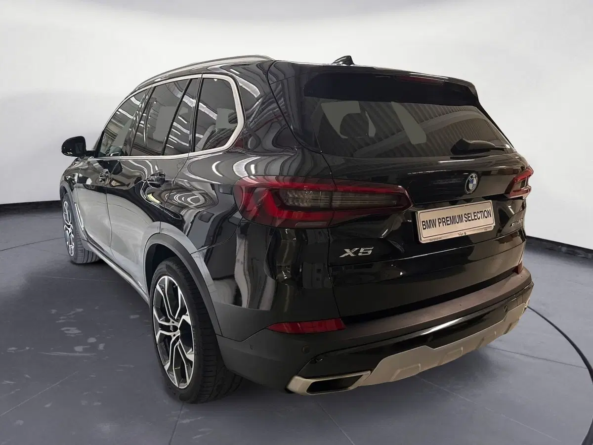 BMW X5 usata a Cuneo (6)