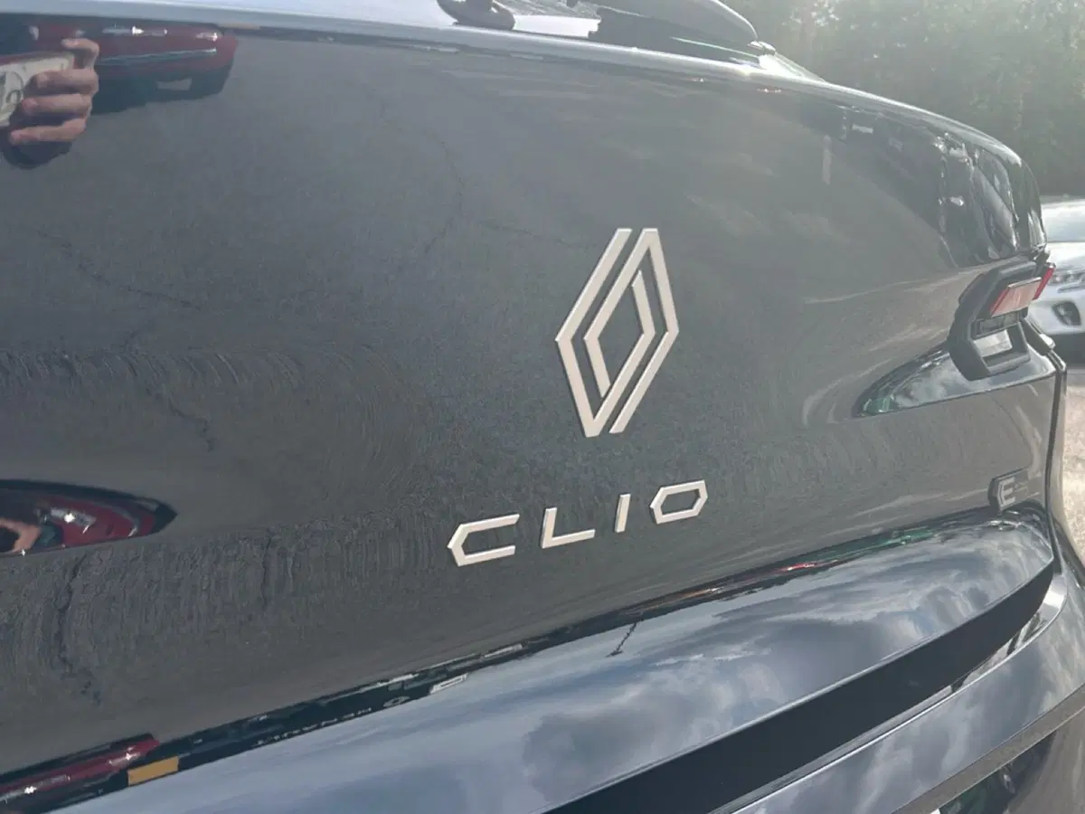 Renault Clio usata a Frosinone (11)