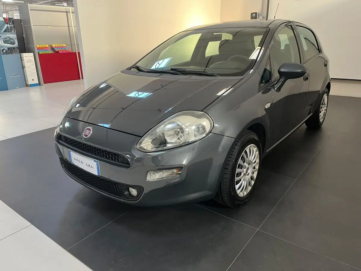 Fiat Punto usata a Lucca