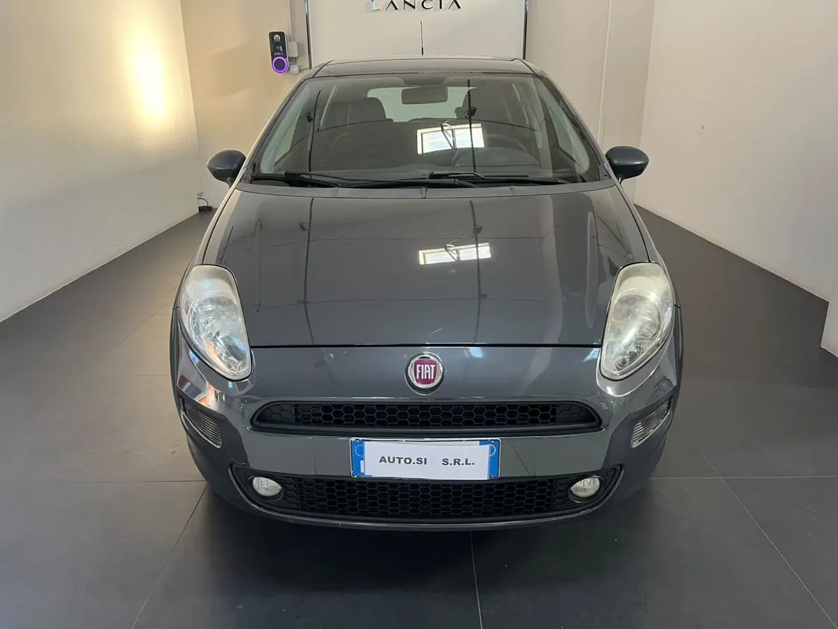 Fiat Punto usata a Lucca (2)