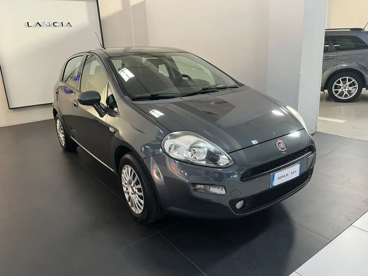 Fiat Punto usata a Lucca (3)