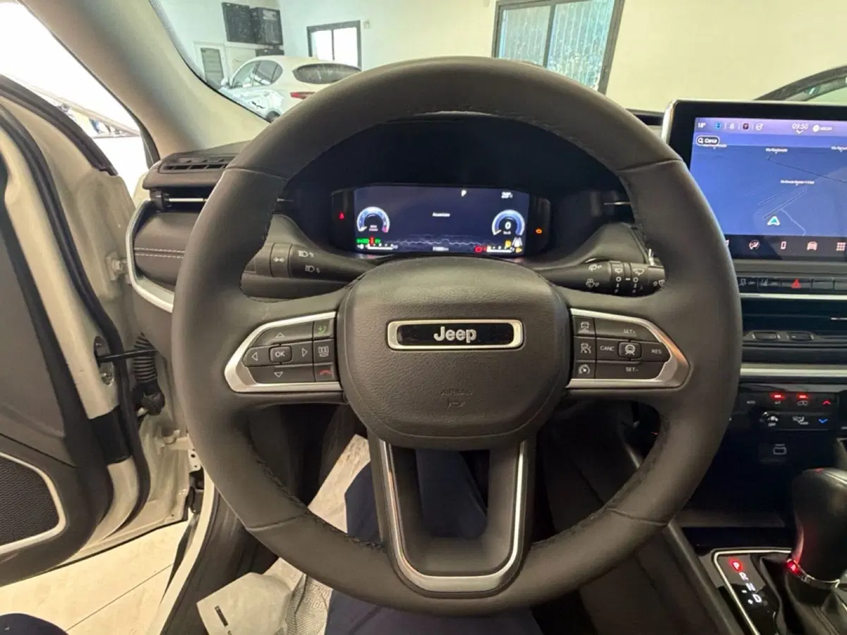 Jeep Compass usata a Palermo (13)