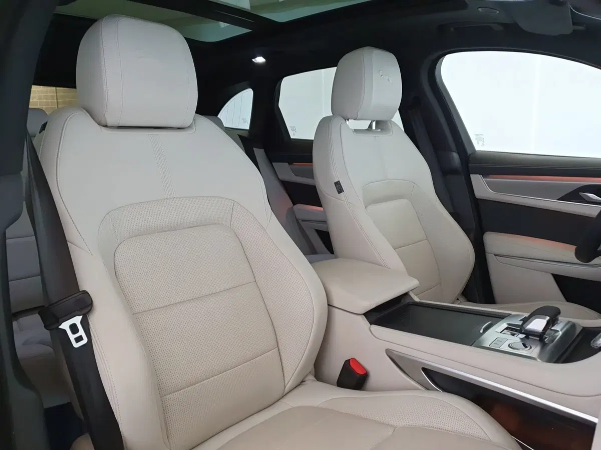 Jaguar F-Pace usata a Monza e Brianza (13)