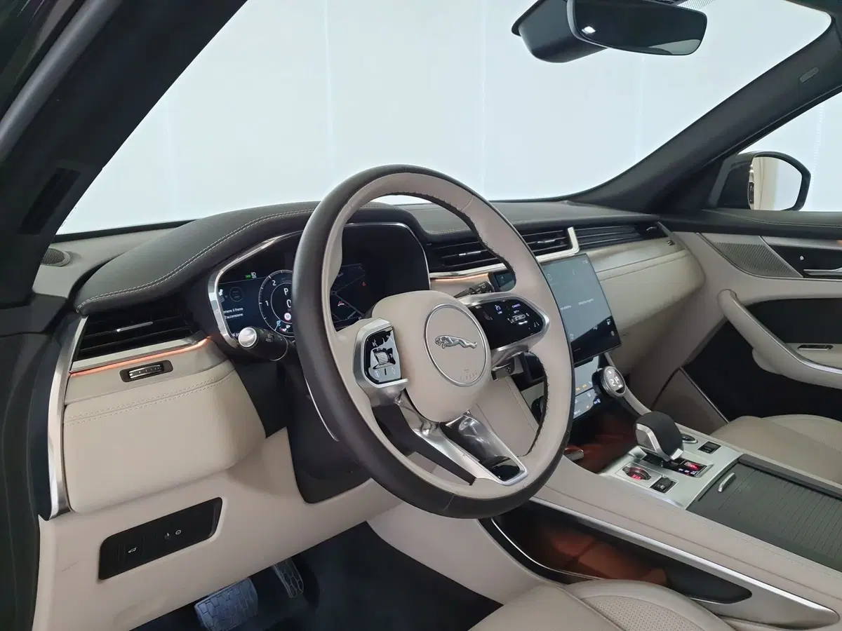 Jaguar F-Pace usata a Monza e Brianza (16)