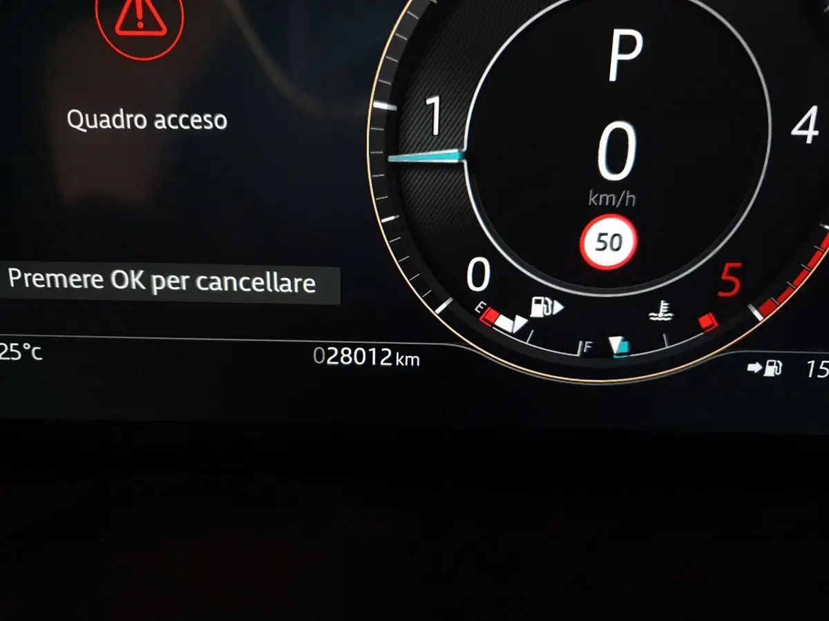 Jaguar F-Pace usata a Monza e Brianza (18)