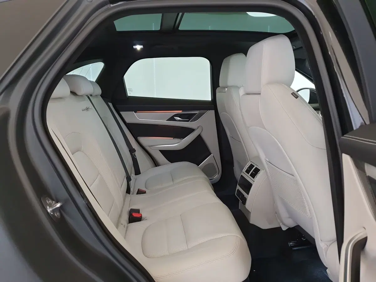 Jaguar F-Pace usata a Monza e Brianza (5)