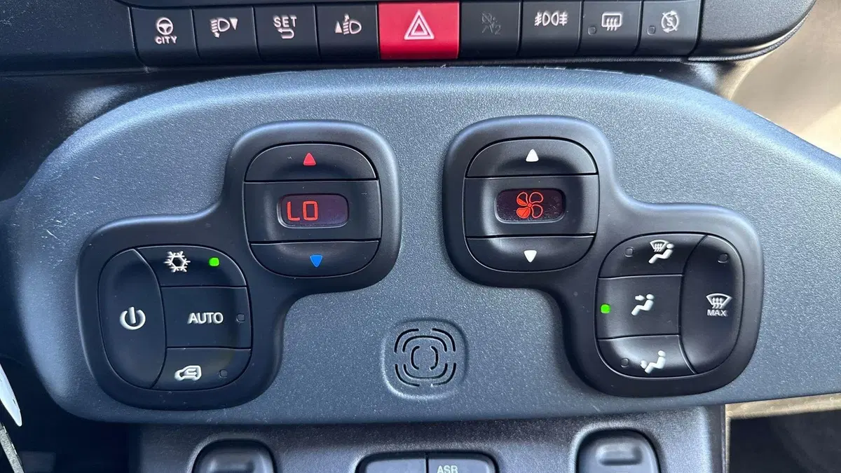 Fiat Panda Cross usata a Padova (11)