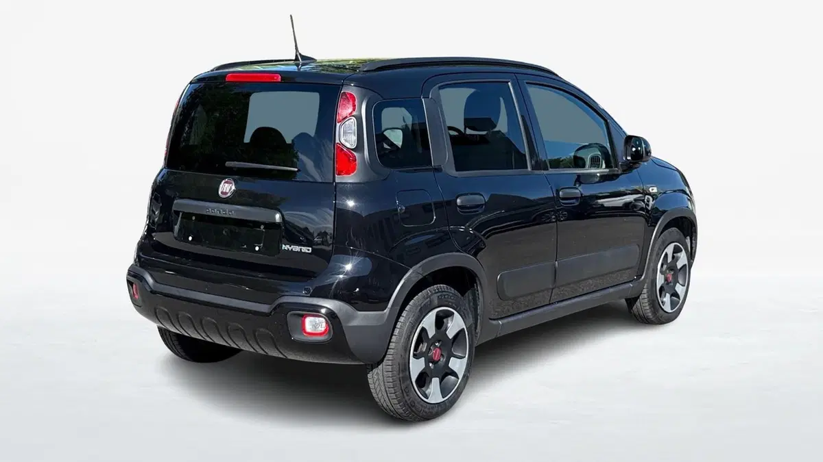 Fiat Panda Cross usata a Padova (2)