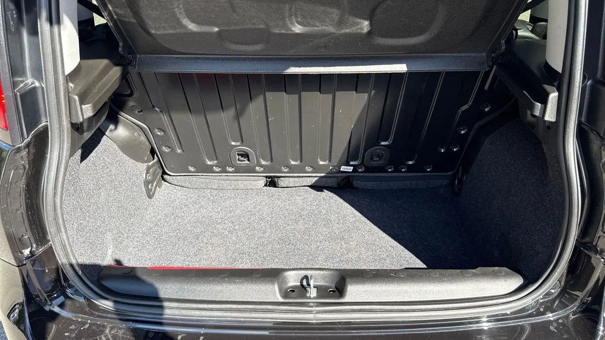 Fiat Panda Cross usata a Padova (20)