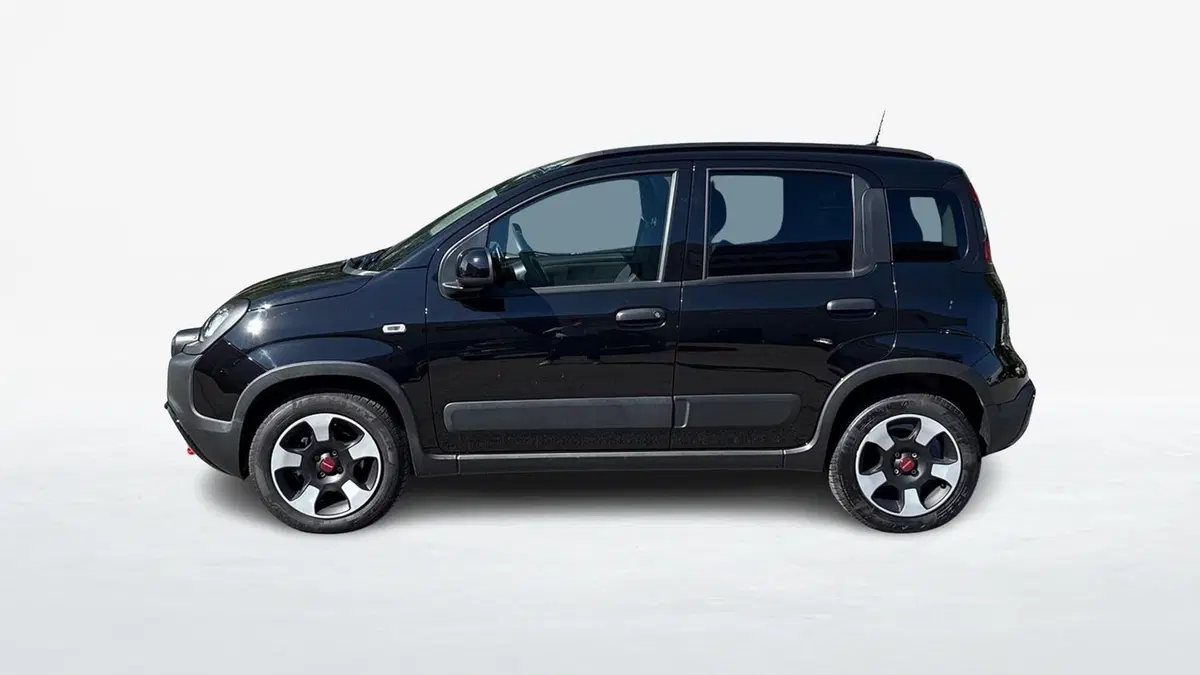 Fiat Panda Cross usata a Padova (3)