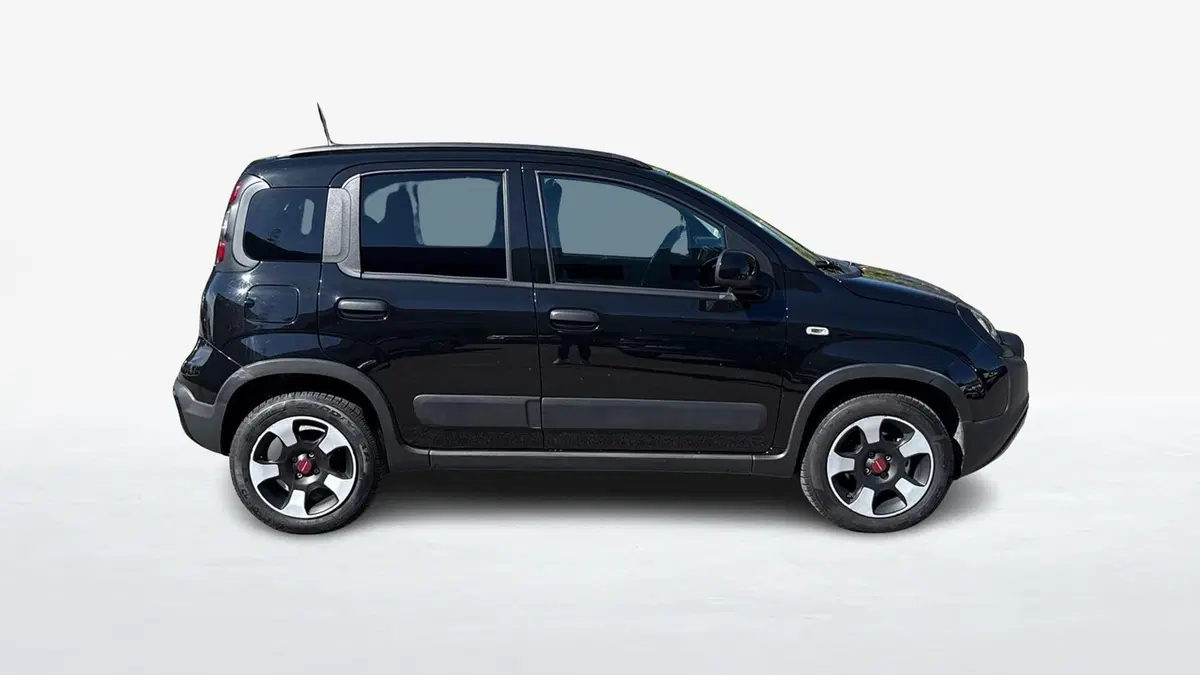 Fiat Panda Cross usata a Padova (4)
