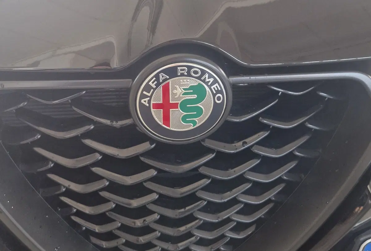 Alfa Romeo Tonale usata a Terni (19)