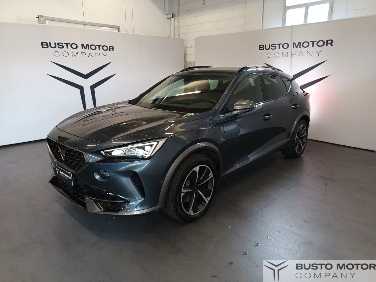 Cupra Formentor usata a Varese (3)