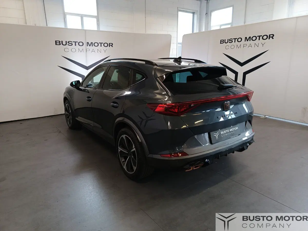 Cupra Formentor usata a Varese (6)