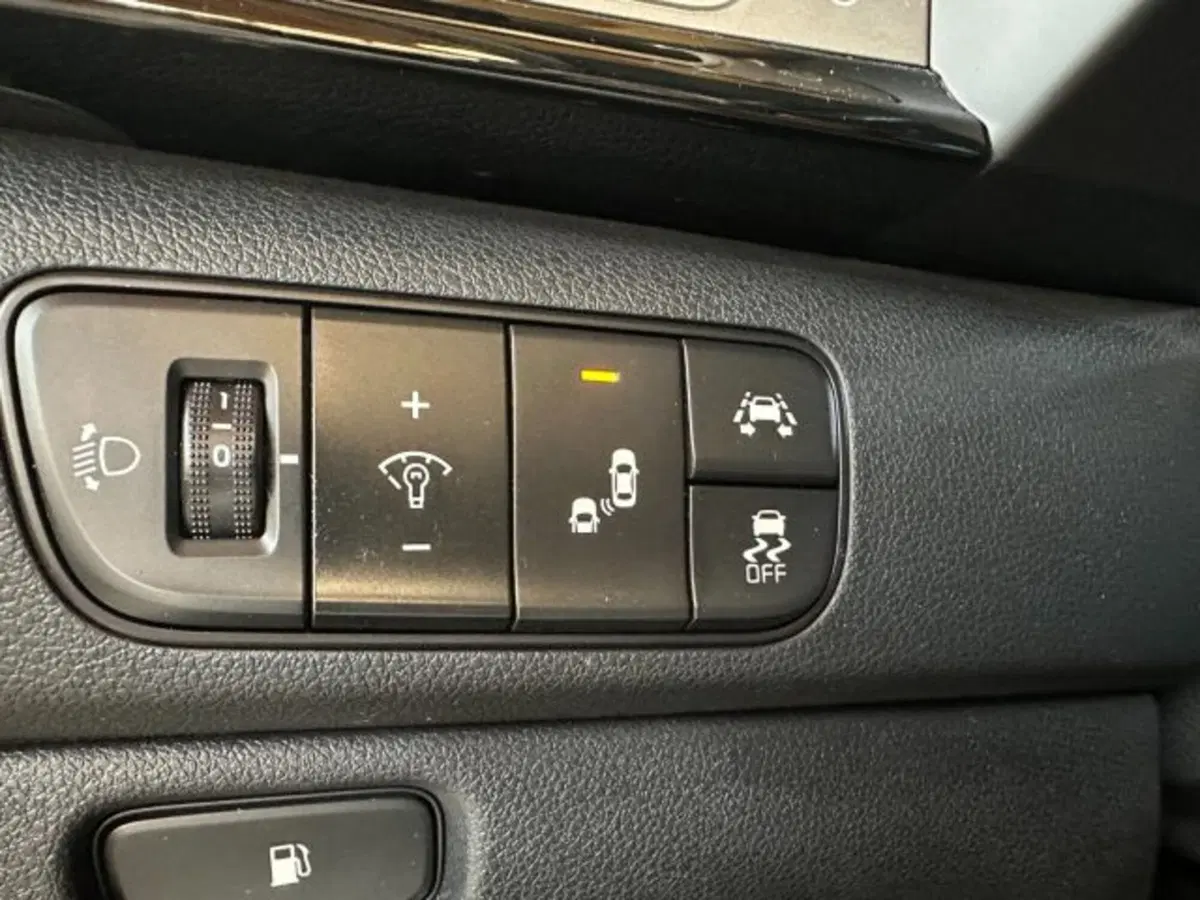 Kia Niro usata a Vicenza (17)