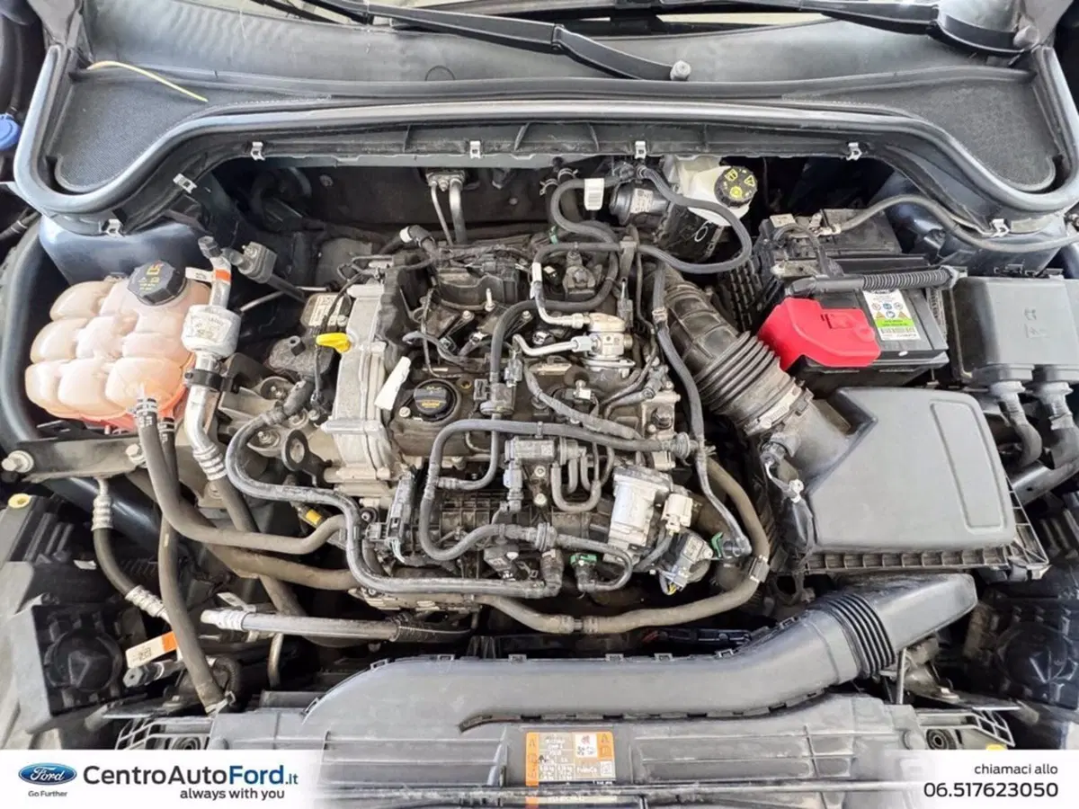 Ford Focus usata a Roma (11)