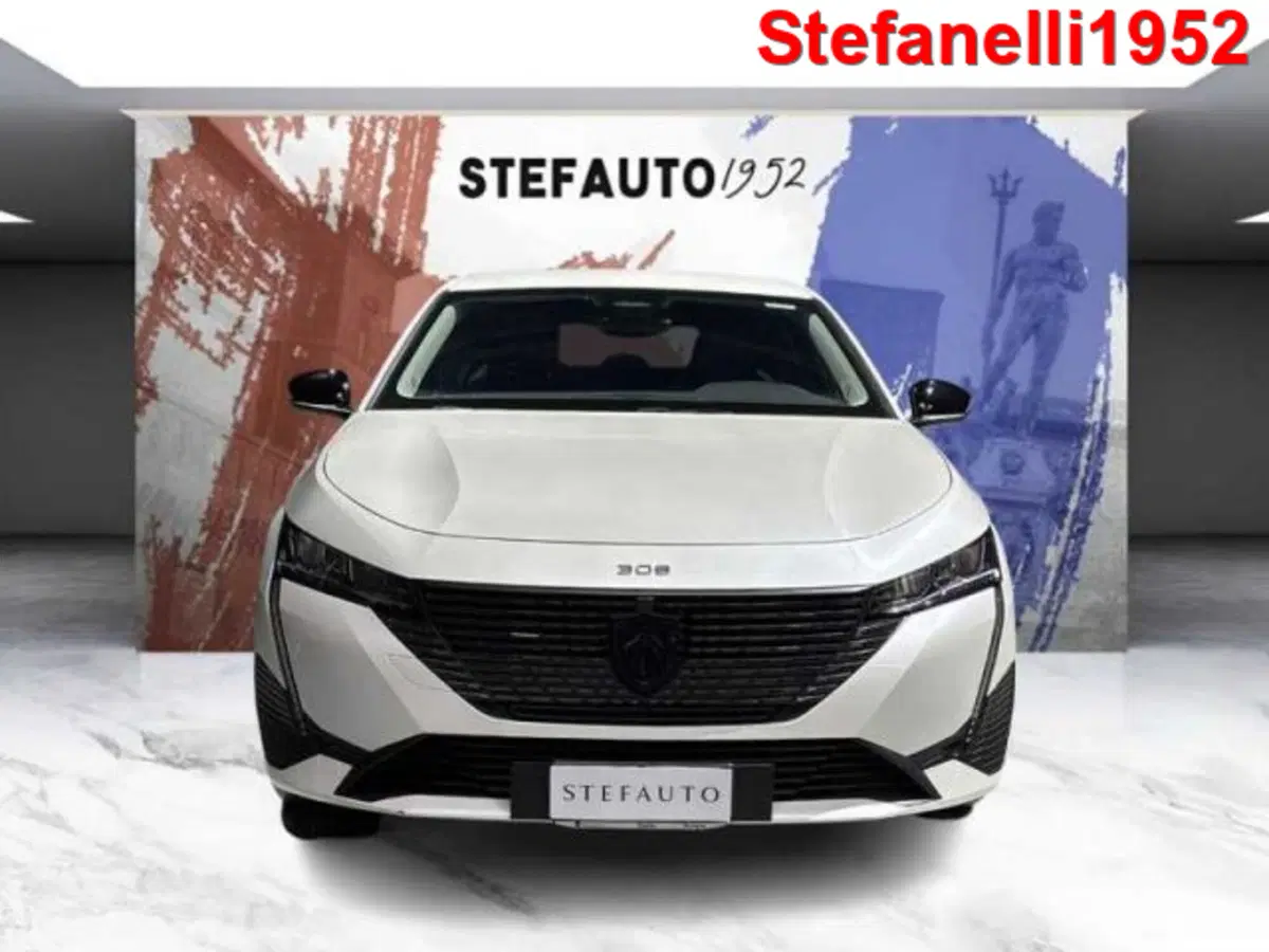 Peugeot 308 usata a Bologna (2)