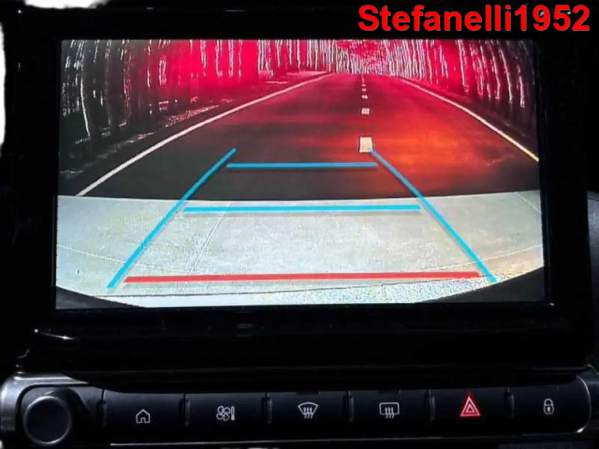 Citroen C3 Aircross usata a Bologna (17)