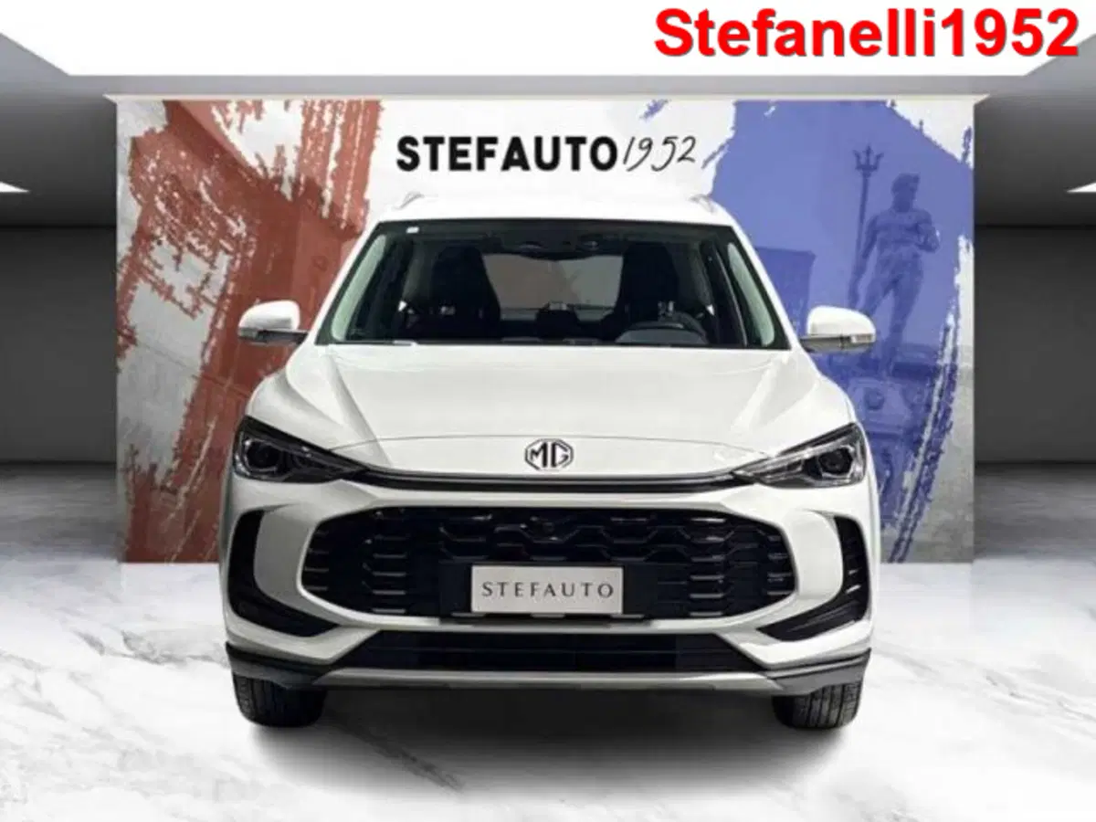 Mg ZS usata a Bologna (2)