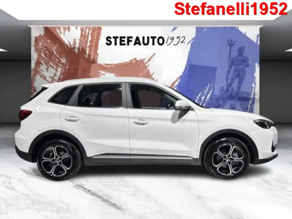 Mg ZS usata a Bologna (3)