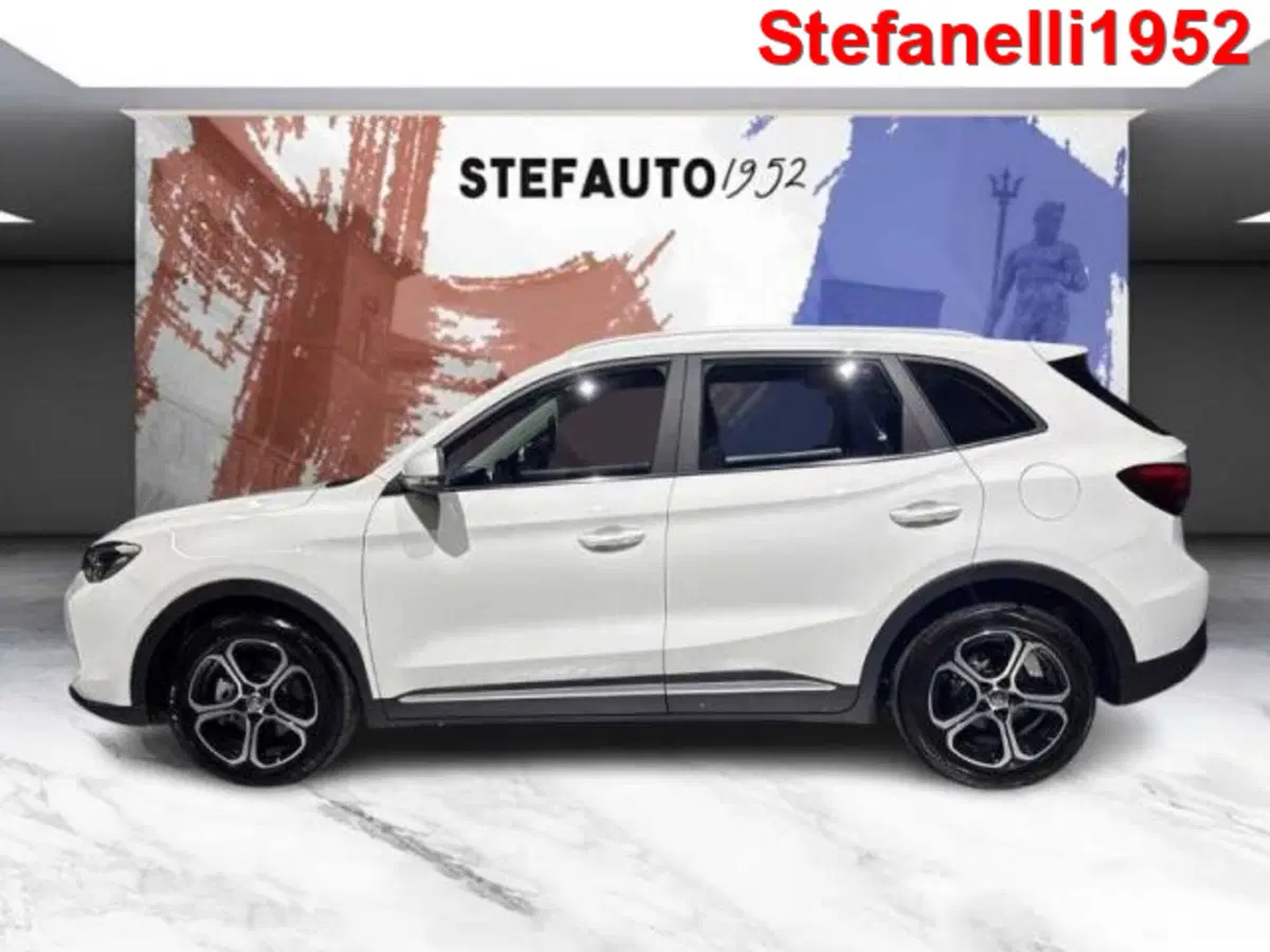 Mg ZS usata a Bologna (4)