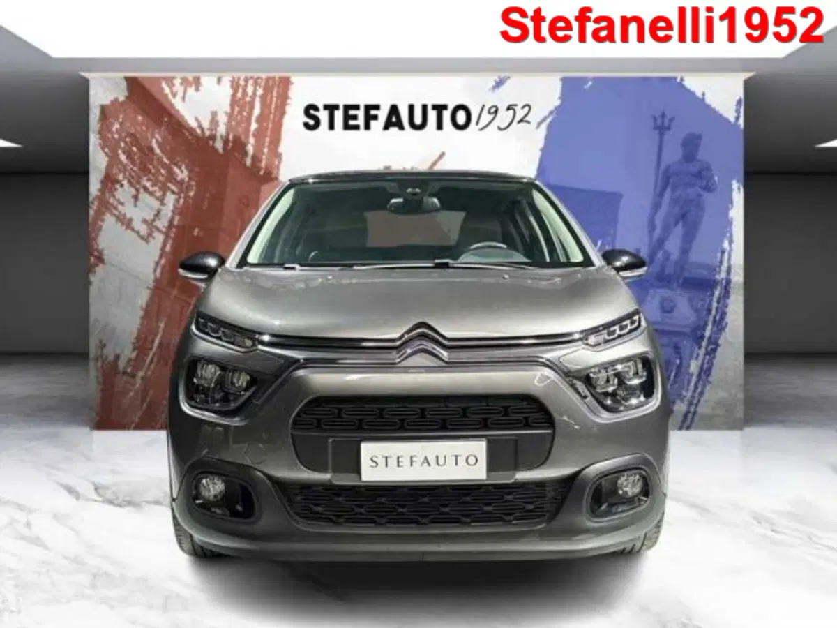 Citroen C3 usata a Bologna (2)