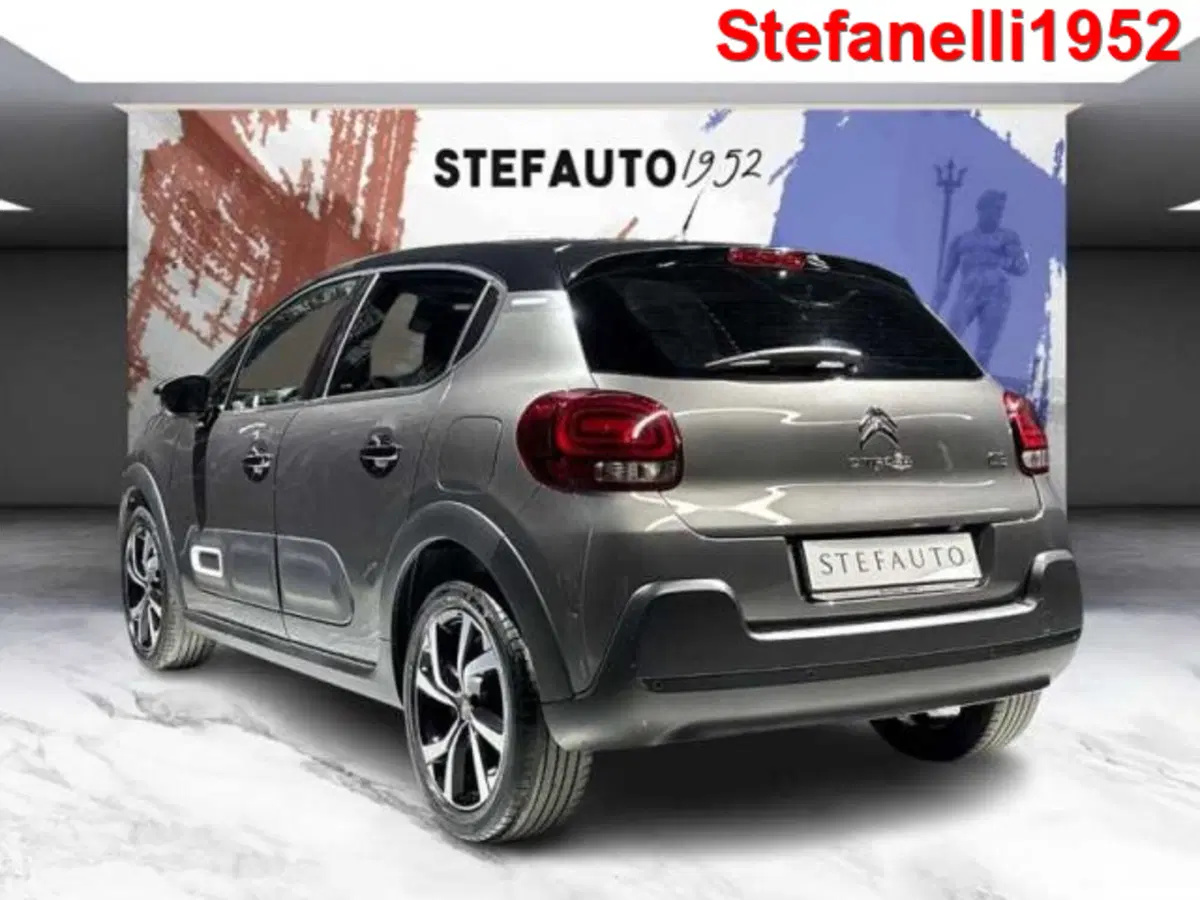 Citroen C3 usata a Bologna (5)
