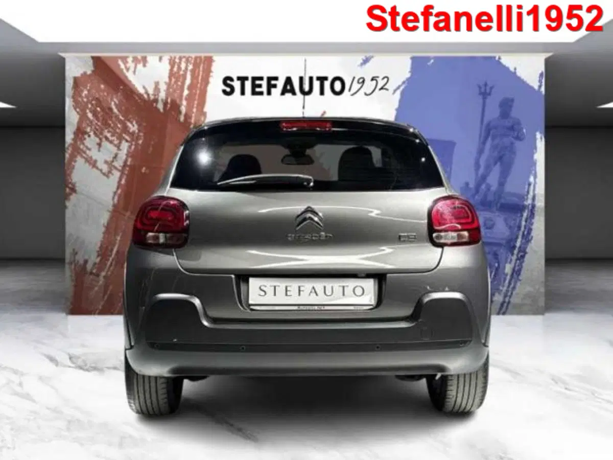 Citroen C3 usata a Bologna (6)