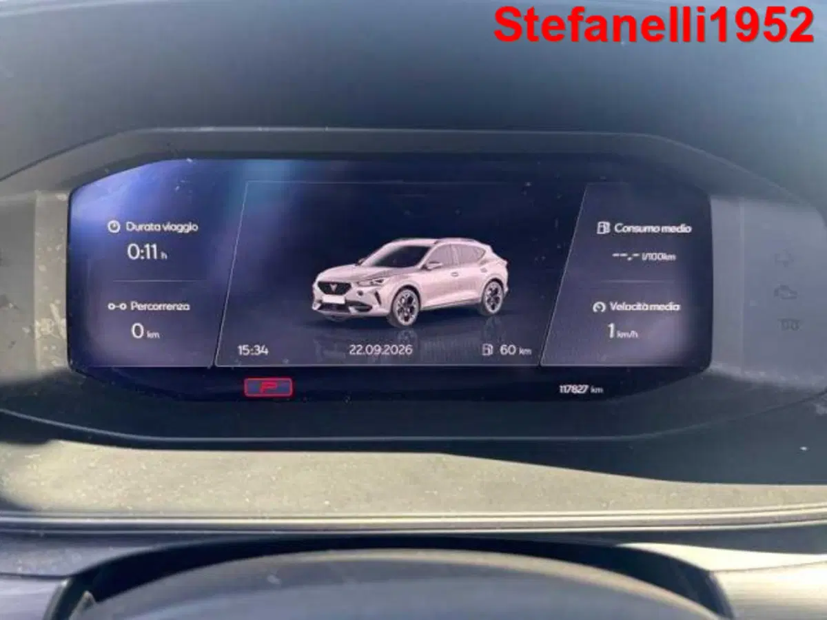 Cupra Formentor usata a Bologna (12)