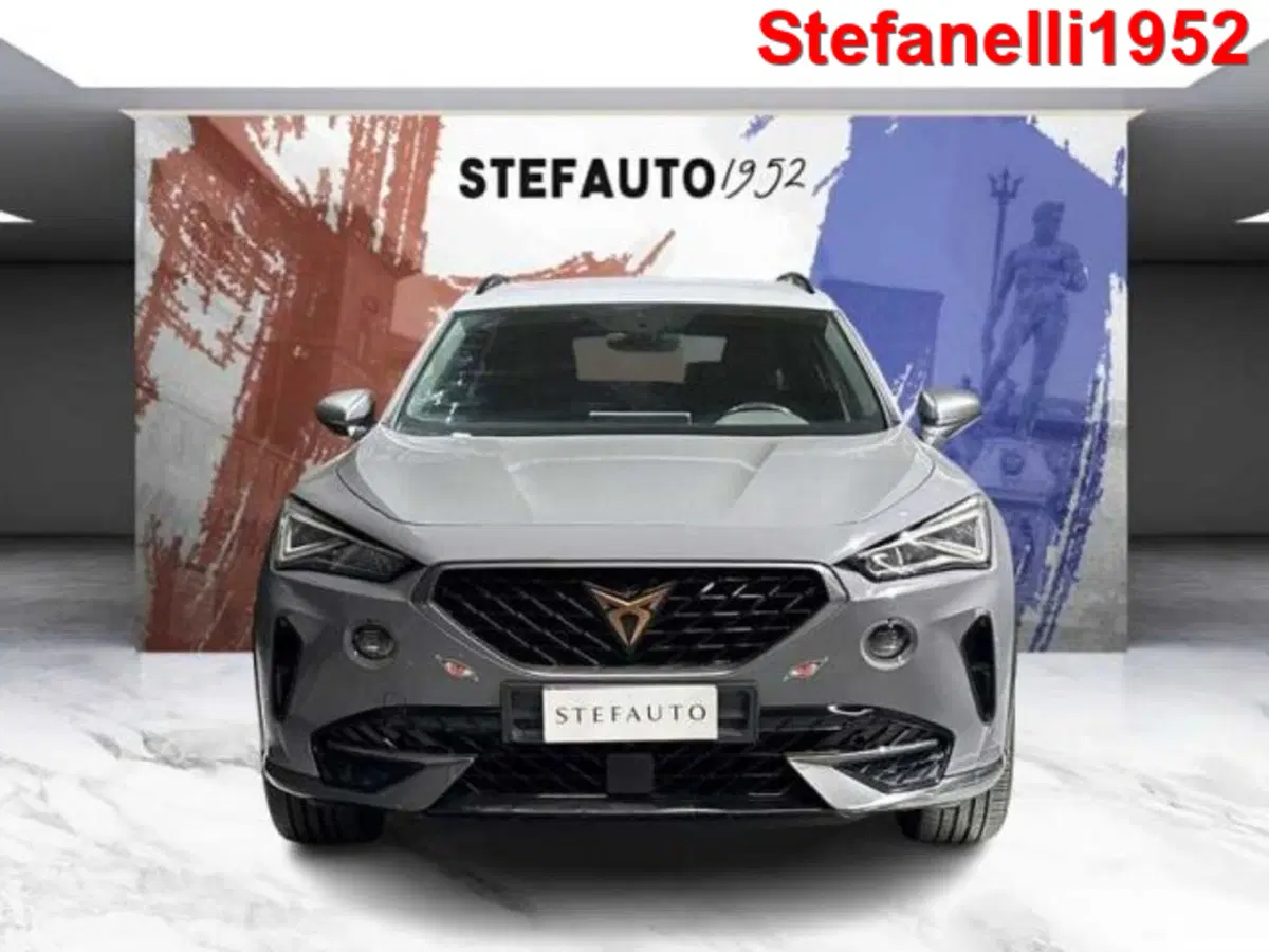 Cupra Formentor usata a Bologna (2)