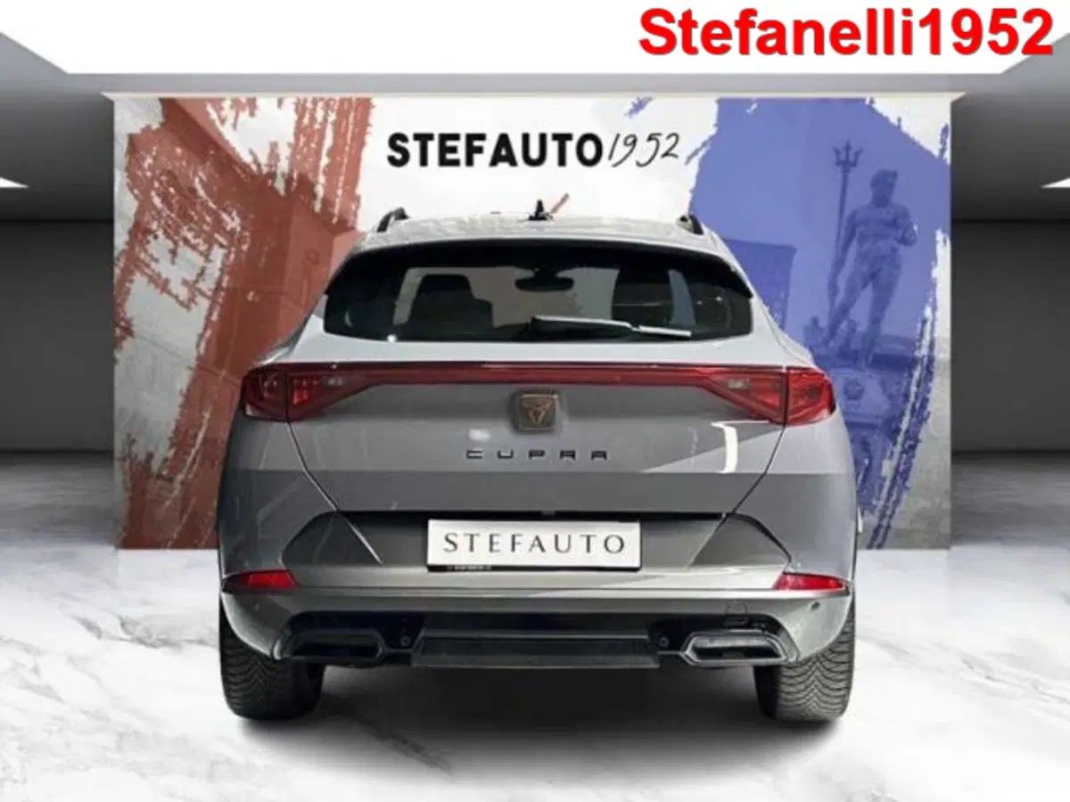 Cupra Formentor usata a Bologna (6)