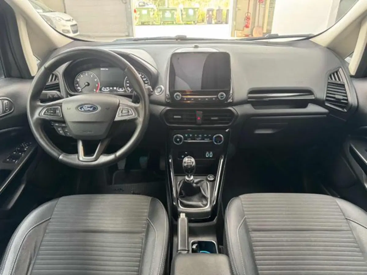 Ford EcoSport usata a Vercelli (10)