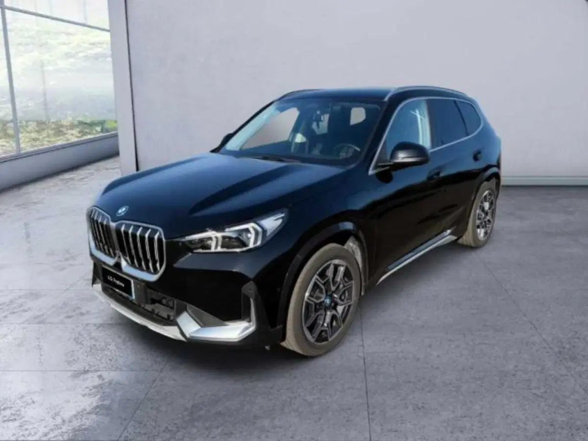 BMW X1 usata a Caltanissetta (14)