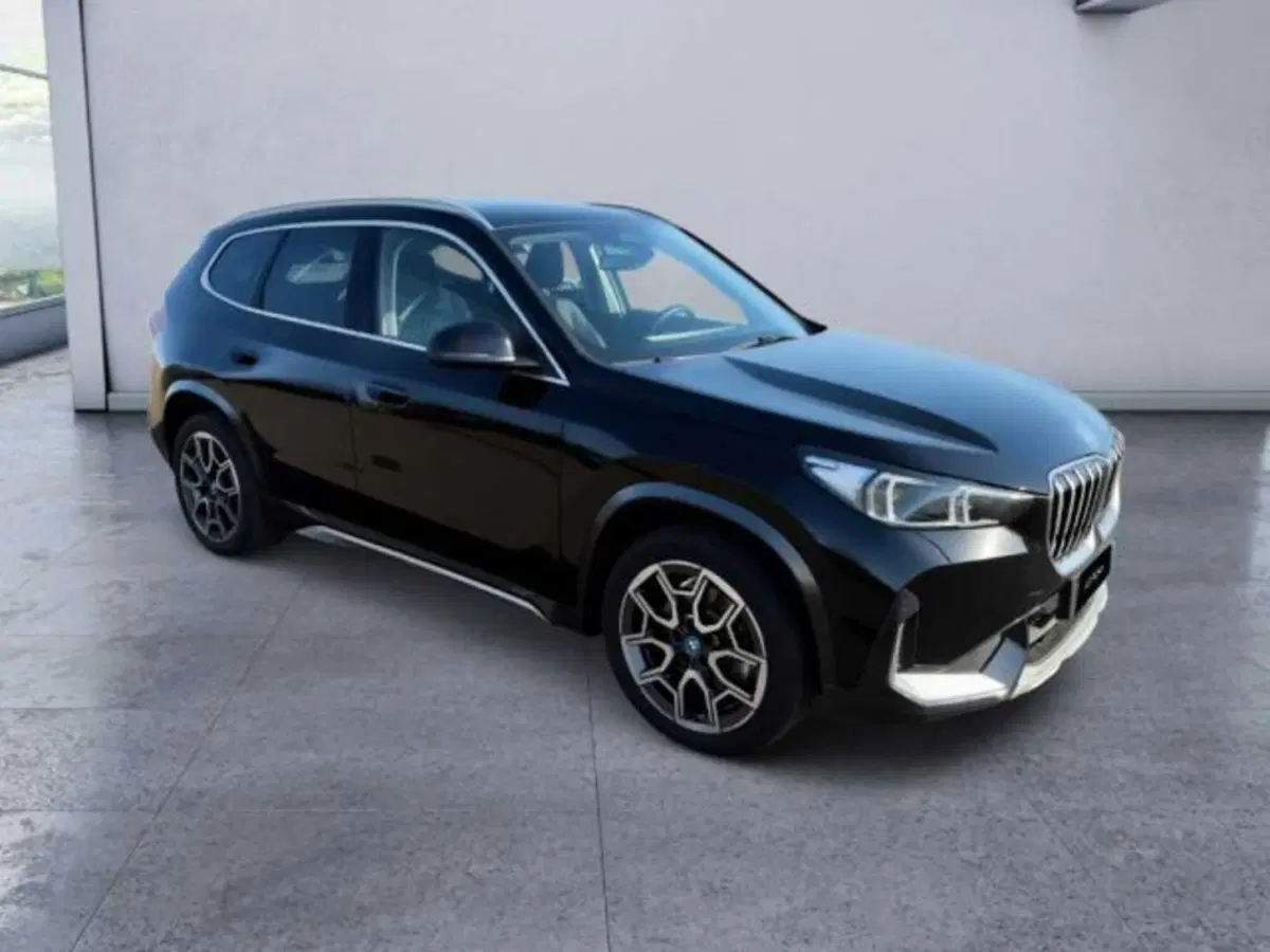 BMW X1 usata a Caltanissetta (15)