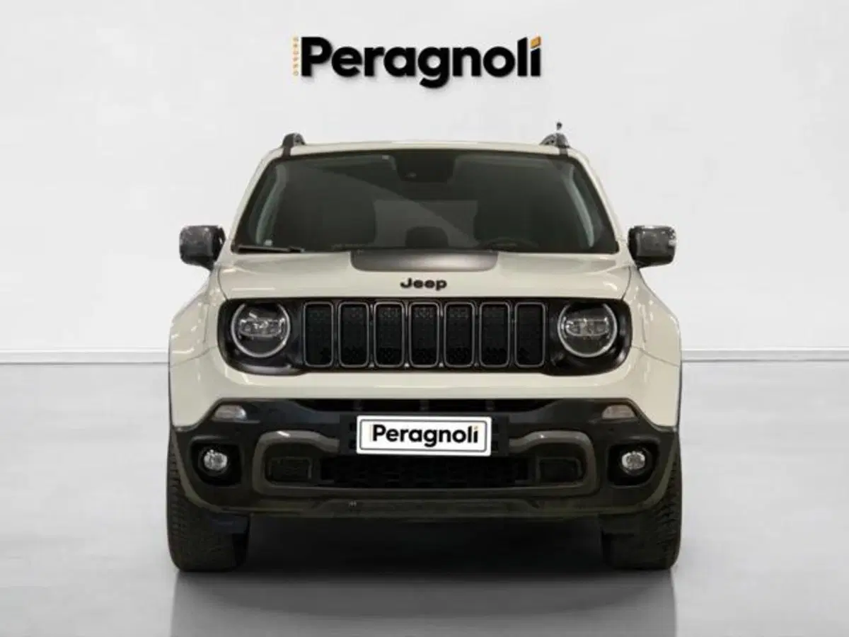 Jeep Renegade usata a Firenze (2)