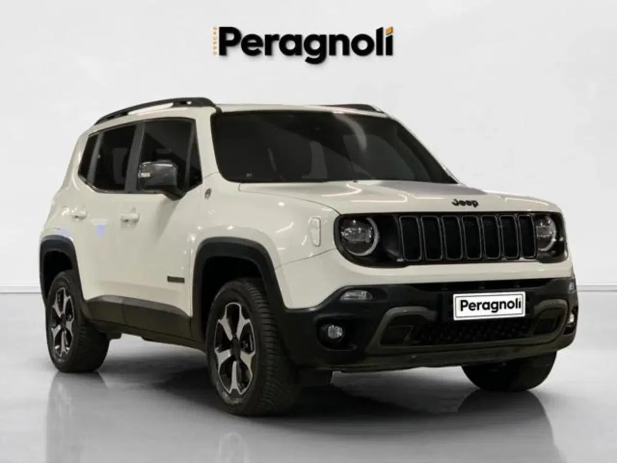 Jeep Renegade usata a Firenze (3)