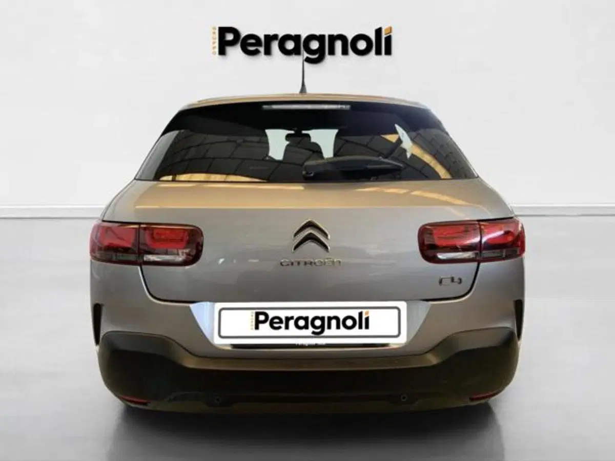 Citroen C4 Cactus usata a Firenze (5)